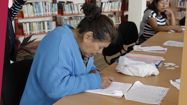 Alfabetización, primaria y secundaria INEA