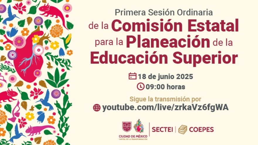 Primera Sesión Ordinaria de la COEPES - Ciudad de México