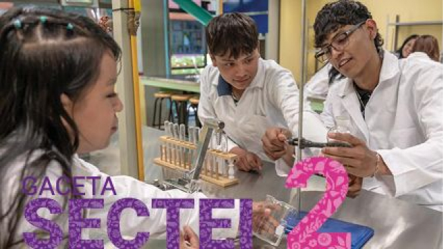 Gaceta SECTEI "Nueva Época" Número 2