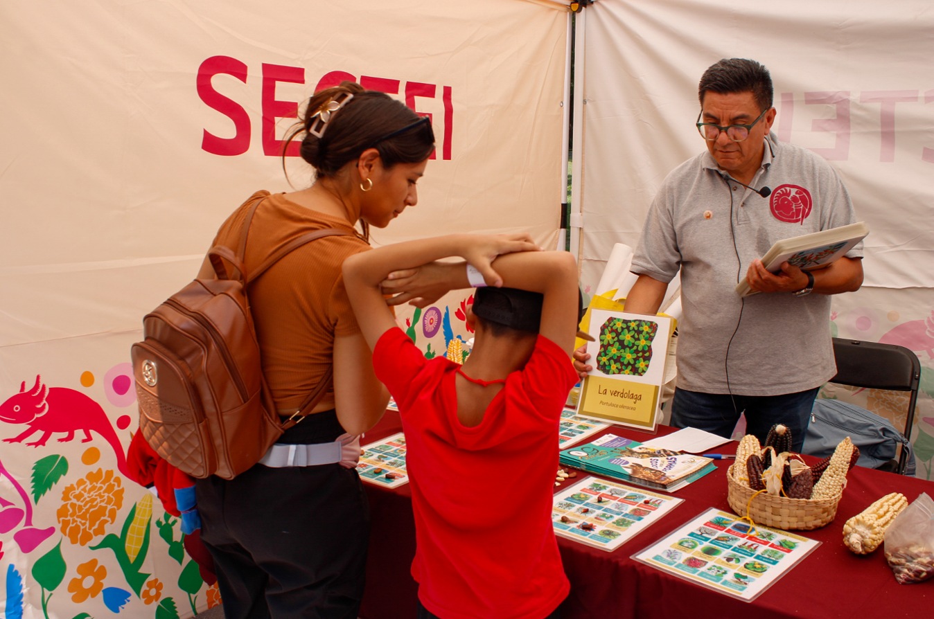 Zócalo de las Ciencias (julio) 1.jpg